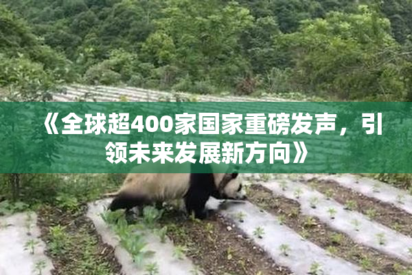 《全球超400家国家重磅发声，引领未来发展新方向》