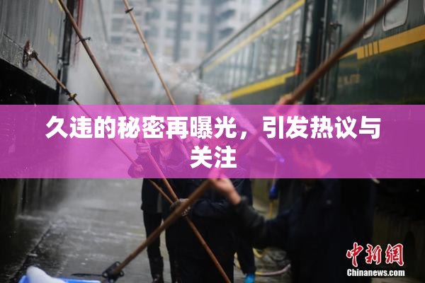 久违的秘密再曝光，引发热议与关注