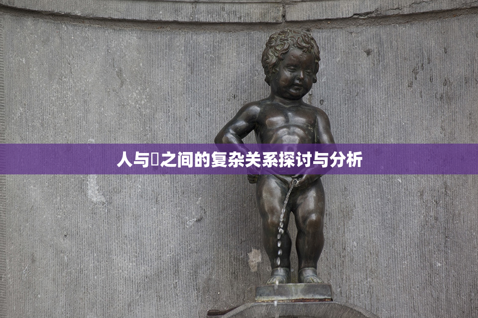 人与嘼之间的复杂关系探讨与分析