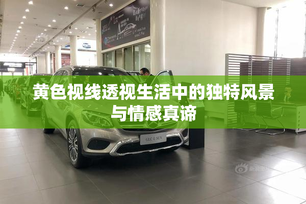 黄色视线透视生活中的独特风景与情感真谛