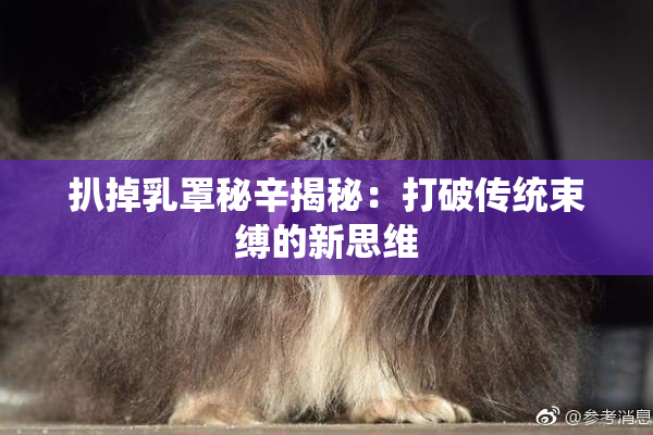 扒掉乳罩秘辛揭秘：打破传统束缚的新思维