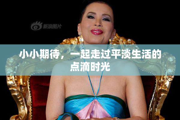 小小期待，一起走过平淡生活的点滴时光