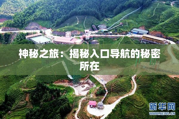 神秘之旅：揭秘入口导航的秘密所在