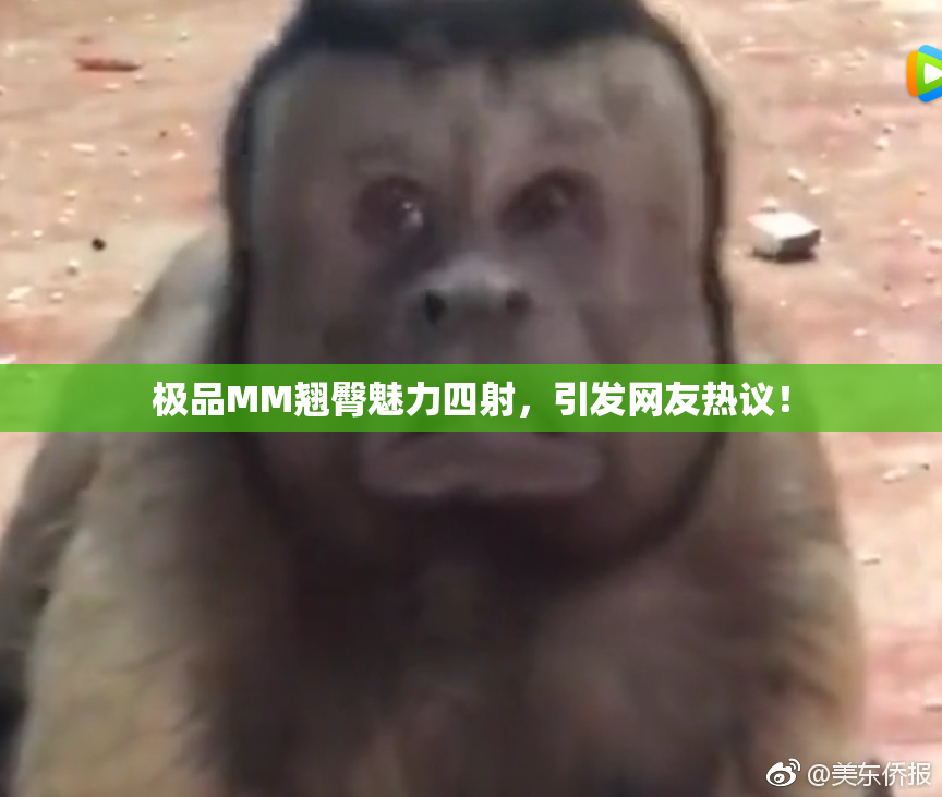 极品MM翘臀魅力四射，引发网友热议！