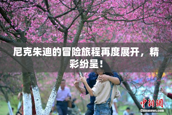 尼克朱迪的冒险旅程再度展开，精彩纷呈！