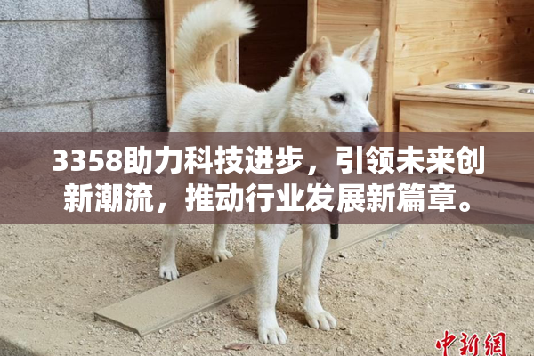 3358助力科技进步，引领未来创新潮流，推动行业发展新篇章。