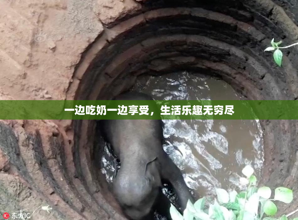 一边吃奶一边享受，生活乐趣无穷尽