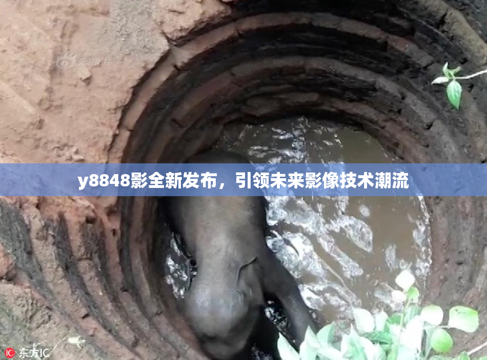 y8848影全新发布，引领未来影像技术潮流