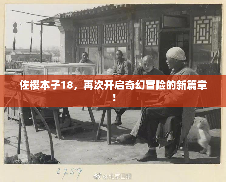 佐樱本子18，再次开启奇幻冒险的新篇章！