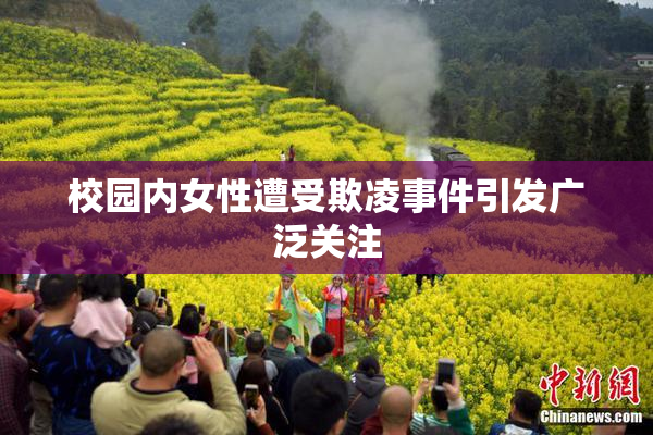 校园内女性遭受欺凌事件引发广泛关注
