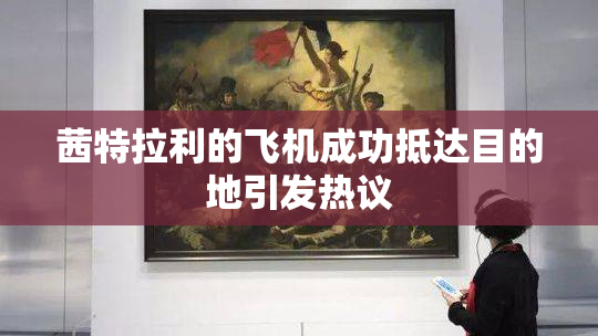 茜特拉利的飞机成功抵达目的地引发热议