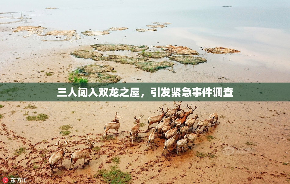 三人闯入双龙之屋，引发紧急事件调查