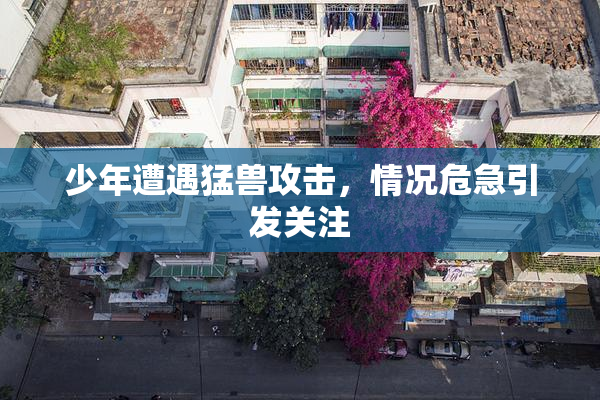 少年遭遇猛兽攻击，情况危急引发关注