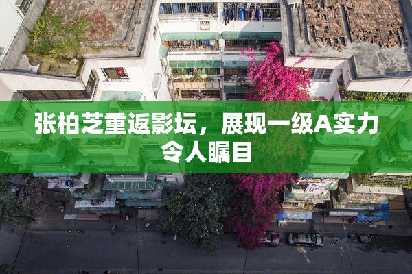 张柏芝重返影坛，展现一级A实力令人瞩目