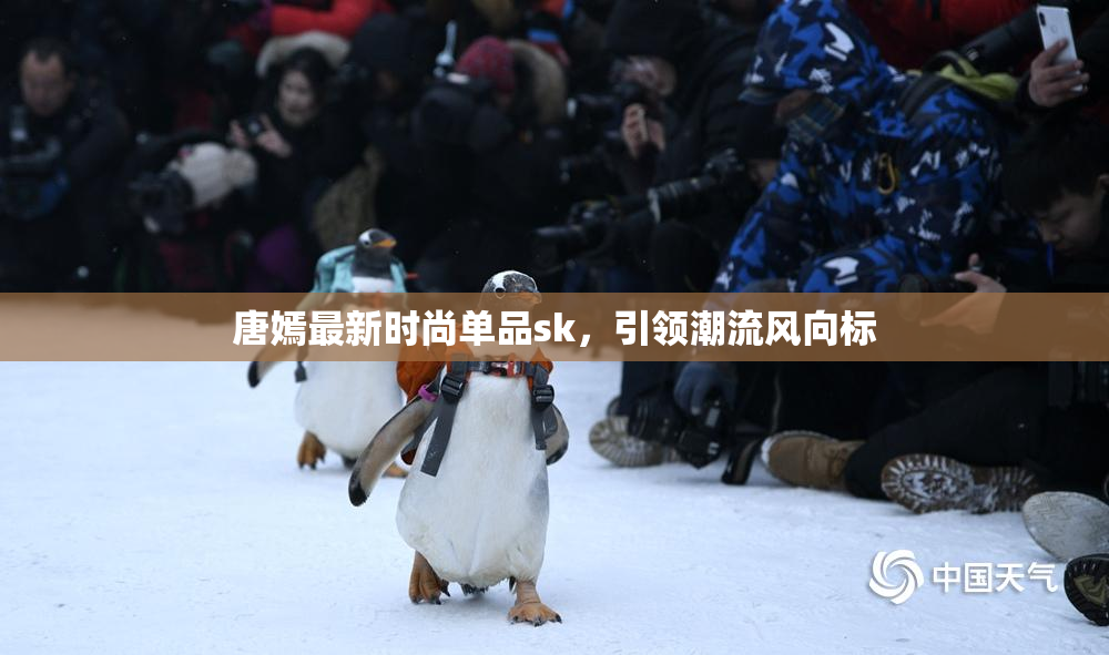 唐嫣最新时尚单品sk，引领潮流风向标