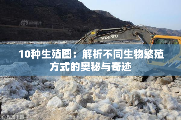 10种生殖图：解析不同生物繁殖方式的奥秘与奇迹
