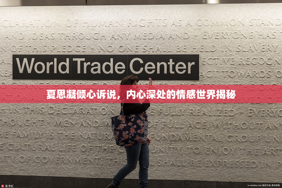 夏思凝倾心诉说，内心深处的情感世界揭秘