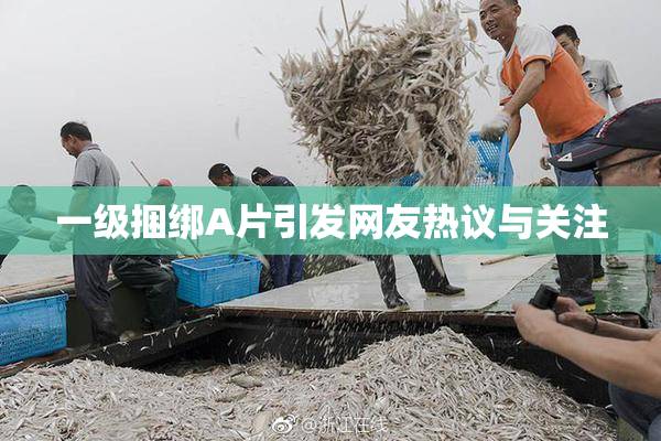 一级捆绑A片引发网友热议与关注