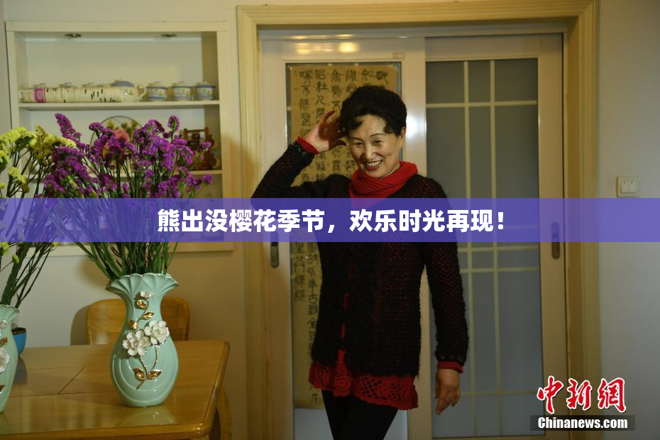 熊出没樱花季节，欢乐时光再现！