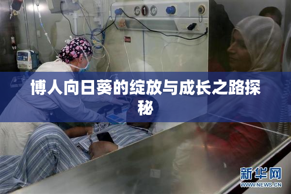 博人向日葵的绽放与成长之路探秘