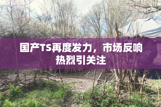 国产TS再度发力，市场反响热烈引关注