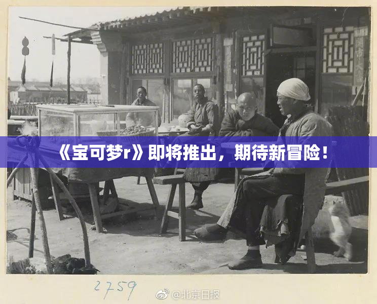 《宝可梦r》即将推出，期待新冒险！