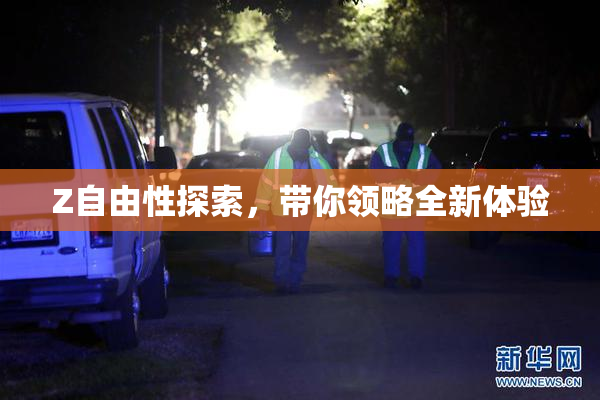 Z自由性探索，带你领略全新体验
