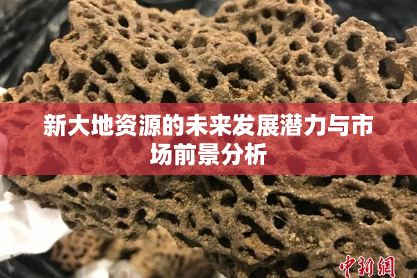 新大地资源的未来发展潜力与市场前景分析