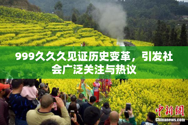 999久久久见证历史变革，引发社会广泛关注与热议