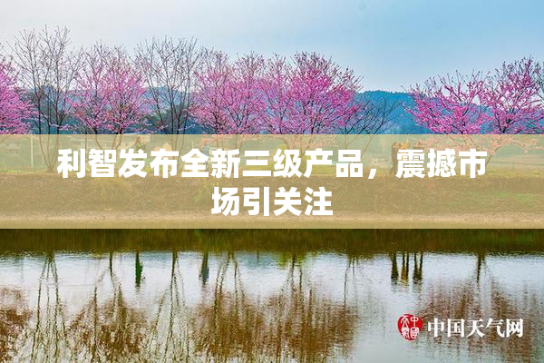 利智发布全新三级产品，震撼市场引关注