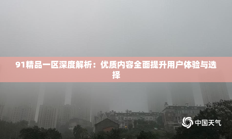 91精品一区深度解析：优质内容全面提升用户体验与选择
