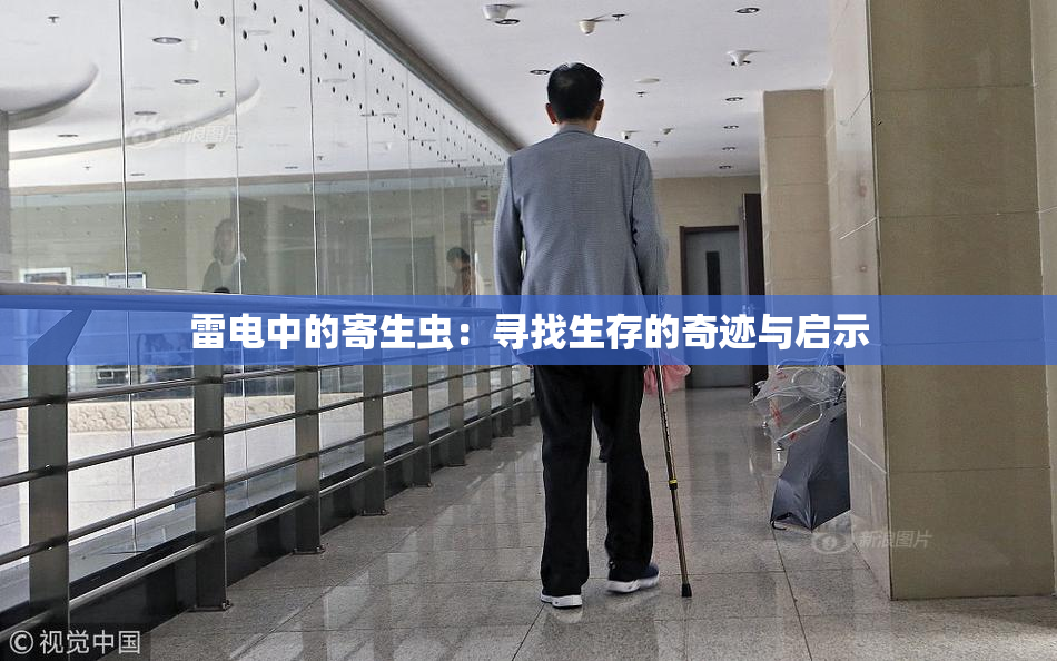 雷电中的寄生虫：寻找生存的奇迹与启示