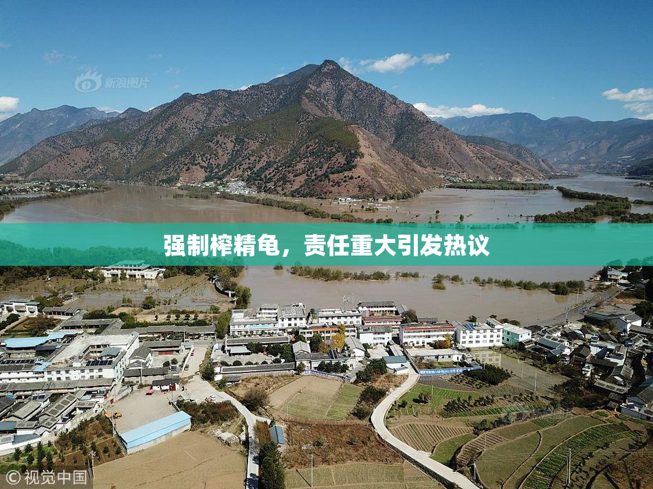 强制榨精龟，责任重大引发热议