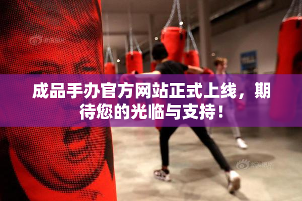 成品手办官方网站正式上线，期待您的光临与支持！
