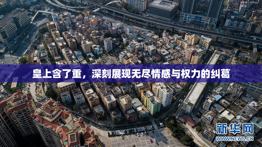 皇上含了重，深刻展现无尽情感与权力的纠葛