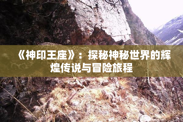 《神印王座》：探秘神秘世界的辉煌传说与冒险旅程
