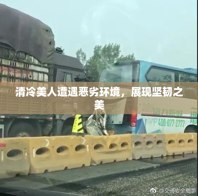 清冷美人遭遇恶劣环境，展现坚韧之美