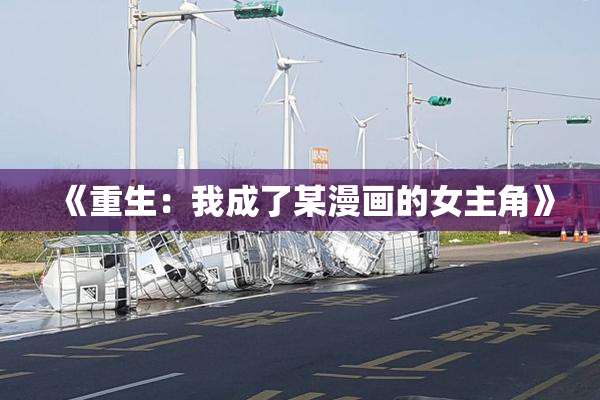 《重生：我成了某漫画的女主角》