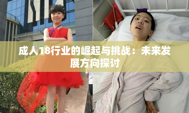 成人18行业的崛起与挑战：未来发展方向探讨