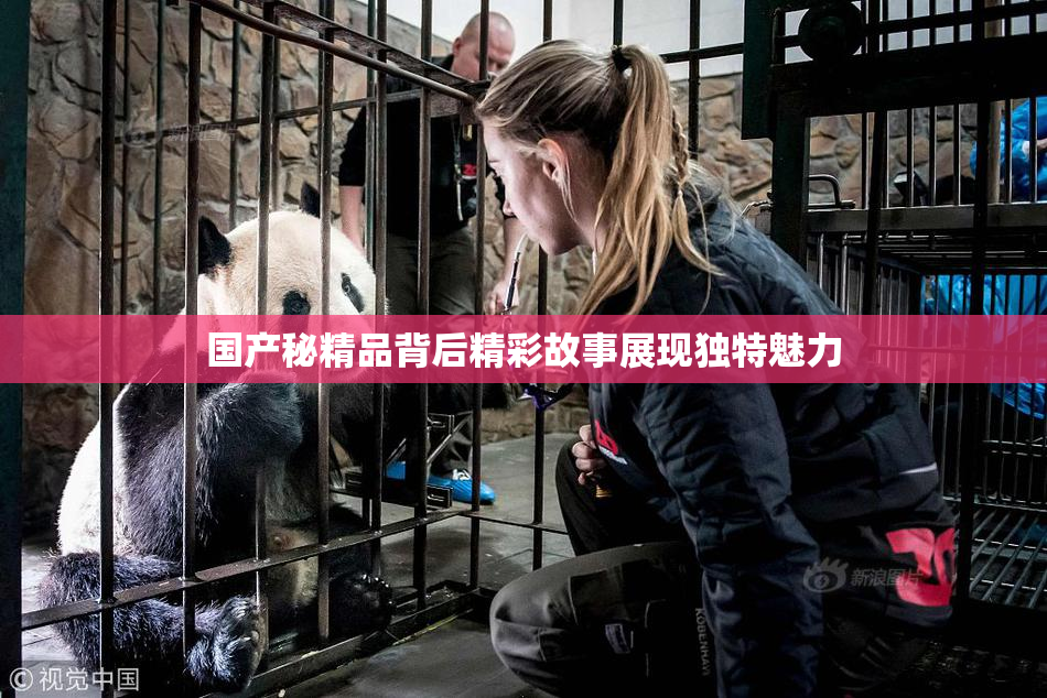 国产秘精品背后精彩故事展现独特魅力
