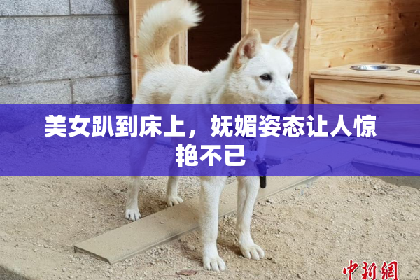 美女趴到床上，妩媚姿态让人惊艳不已