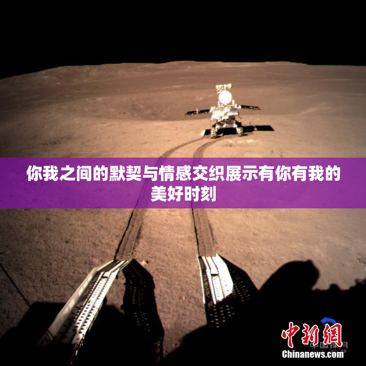 你我之间的默契与情感交织展示有你有我的美好时刻