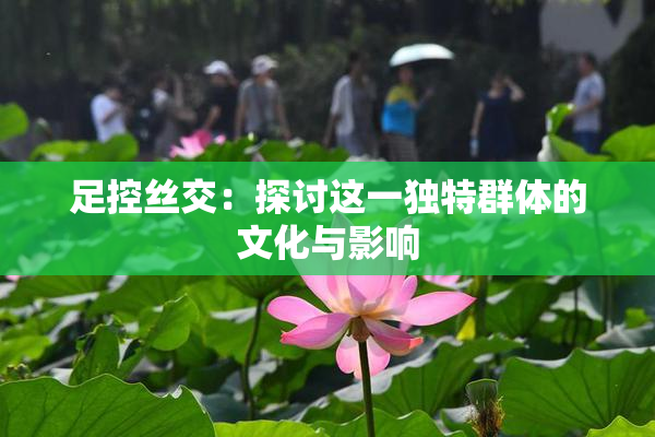 足控丝交：探讨这一独特群体的文化与影响