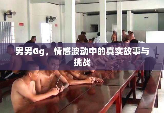 男男Gg，情感波动中的真实故事与挑战