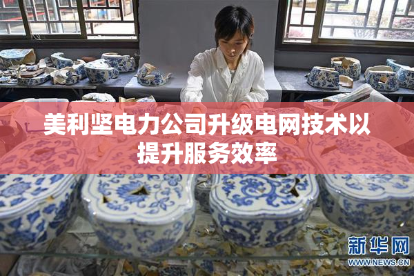 美利坚电力公司升级电网技术以提升服务效率