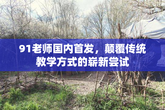 91老师国内首发，颠覆传统教学方式的崭新尝试