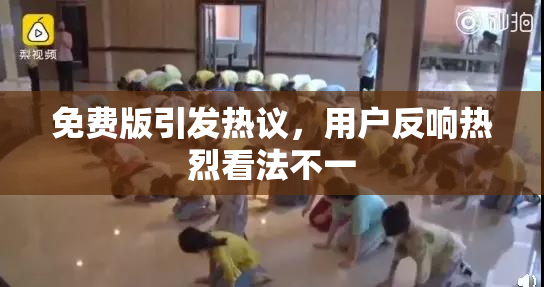 免费版引发热议，用户反响热烈看法不一