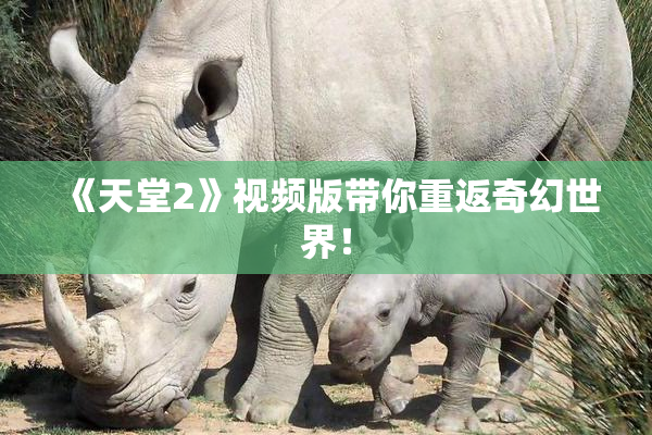 《天堂2》视频版带你重返奇幻世界！