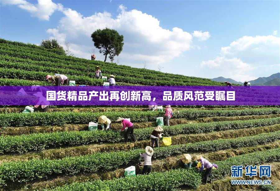 国货精品产出再创新高，品质风范受瞩目