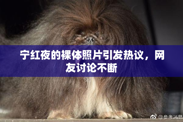 宁红夜的裸体照片引发热议，网友讨论不断